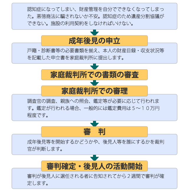 成年後見制度手続きの流れ図